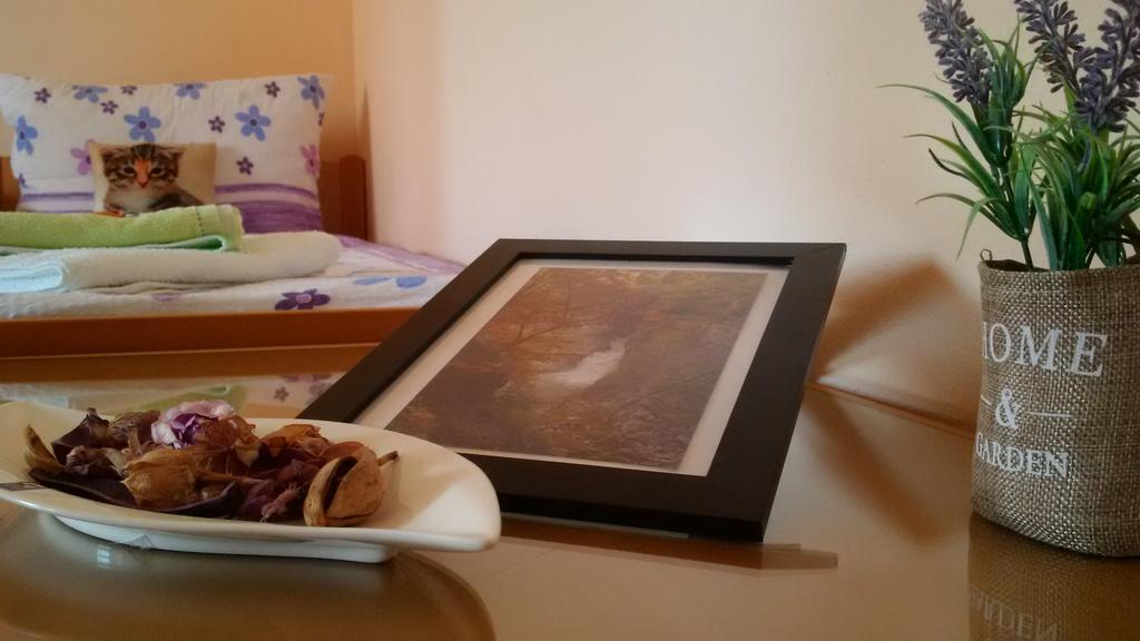 Osterija Na Planinci Bed & Breakfast Divaca Luaran gambar